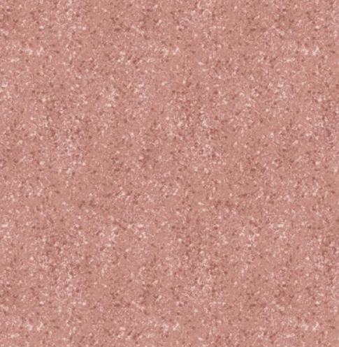 TRICOLINE BÁSICO ALEGRIA SALMÃO